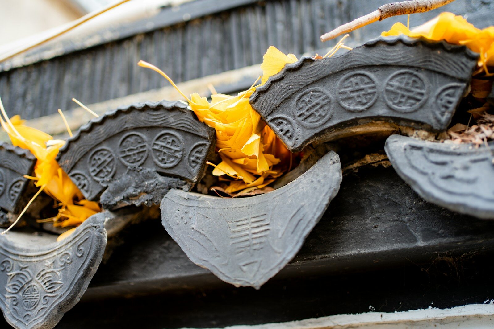 a close up of a roof with leaves on it